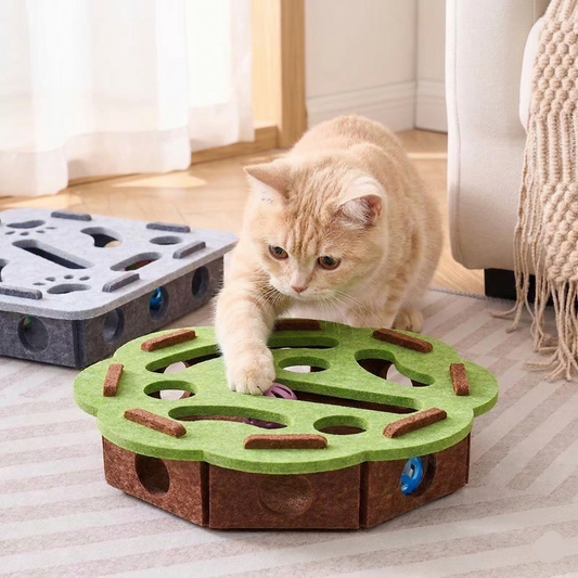 Cat Puzzle Toy